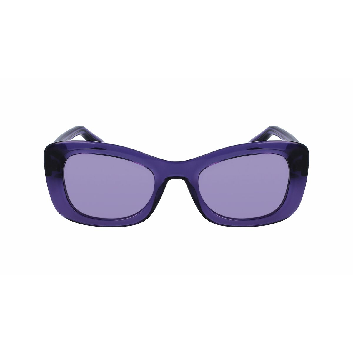 V4H732718F089A807B44E8B0615650B19A7R4558408P2