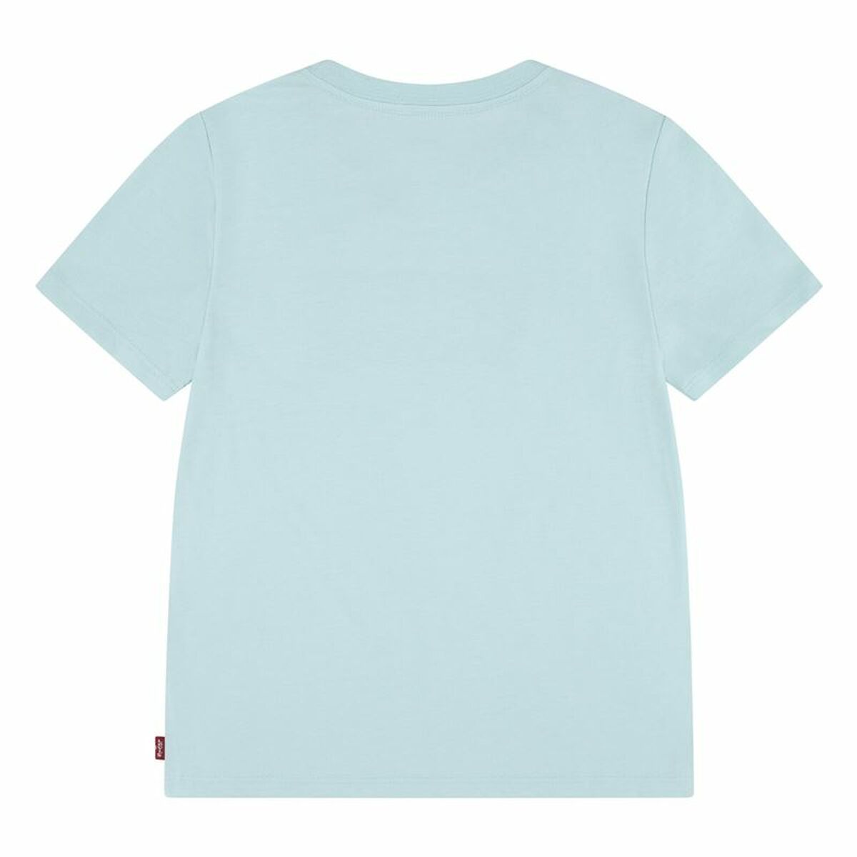 V5HC3D0258B8DBD1B724E6C3065D446FF67R4722313P2