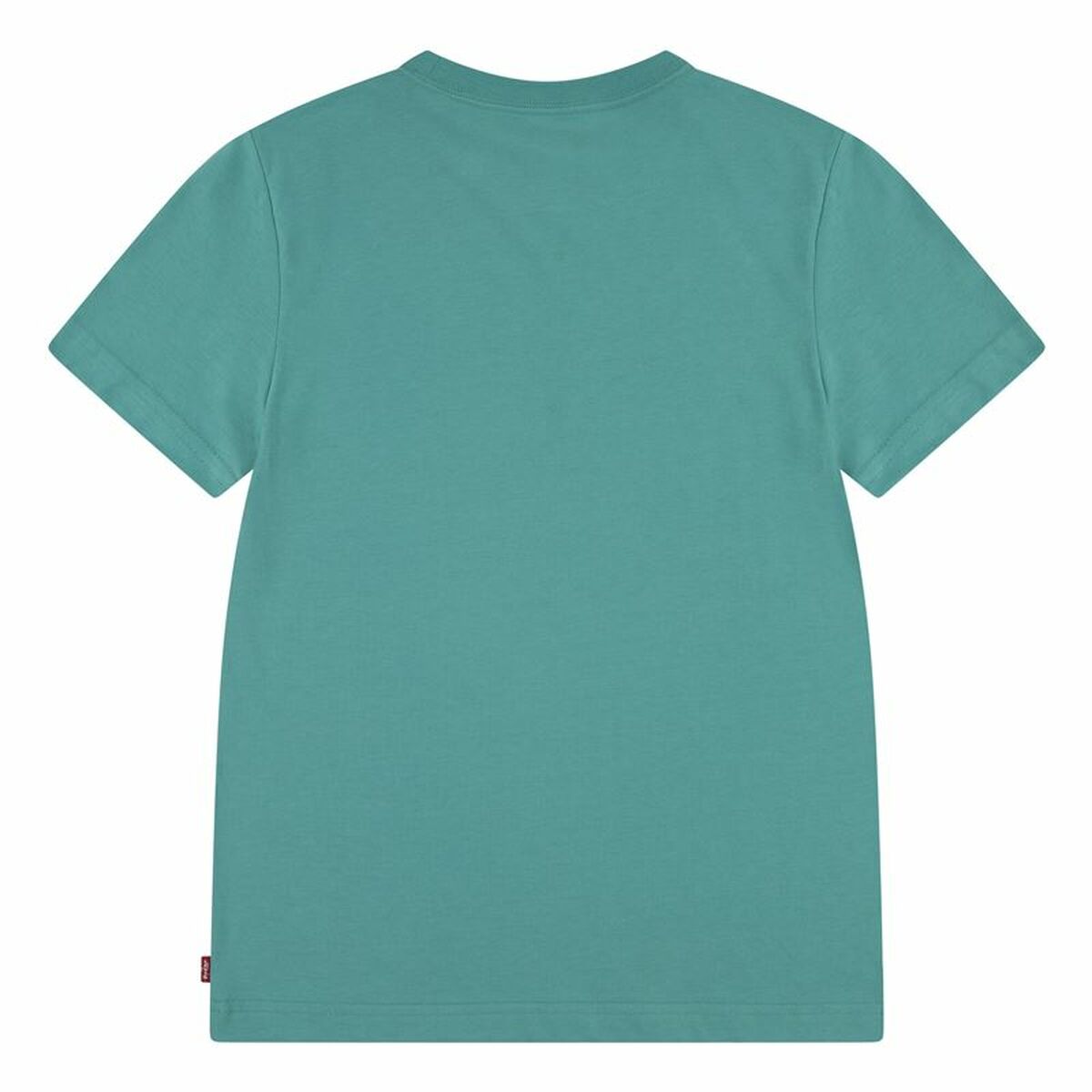 V3HE913D429A772271B2395AE594BE2C4ECR6162552P4