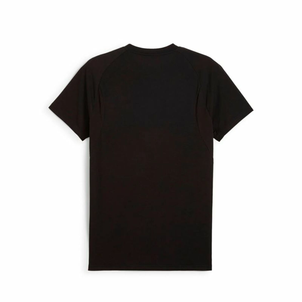 V4H193E96B1538FB459D00E57ED09A786AFR5679974P2