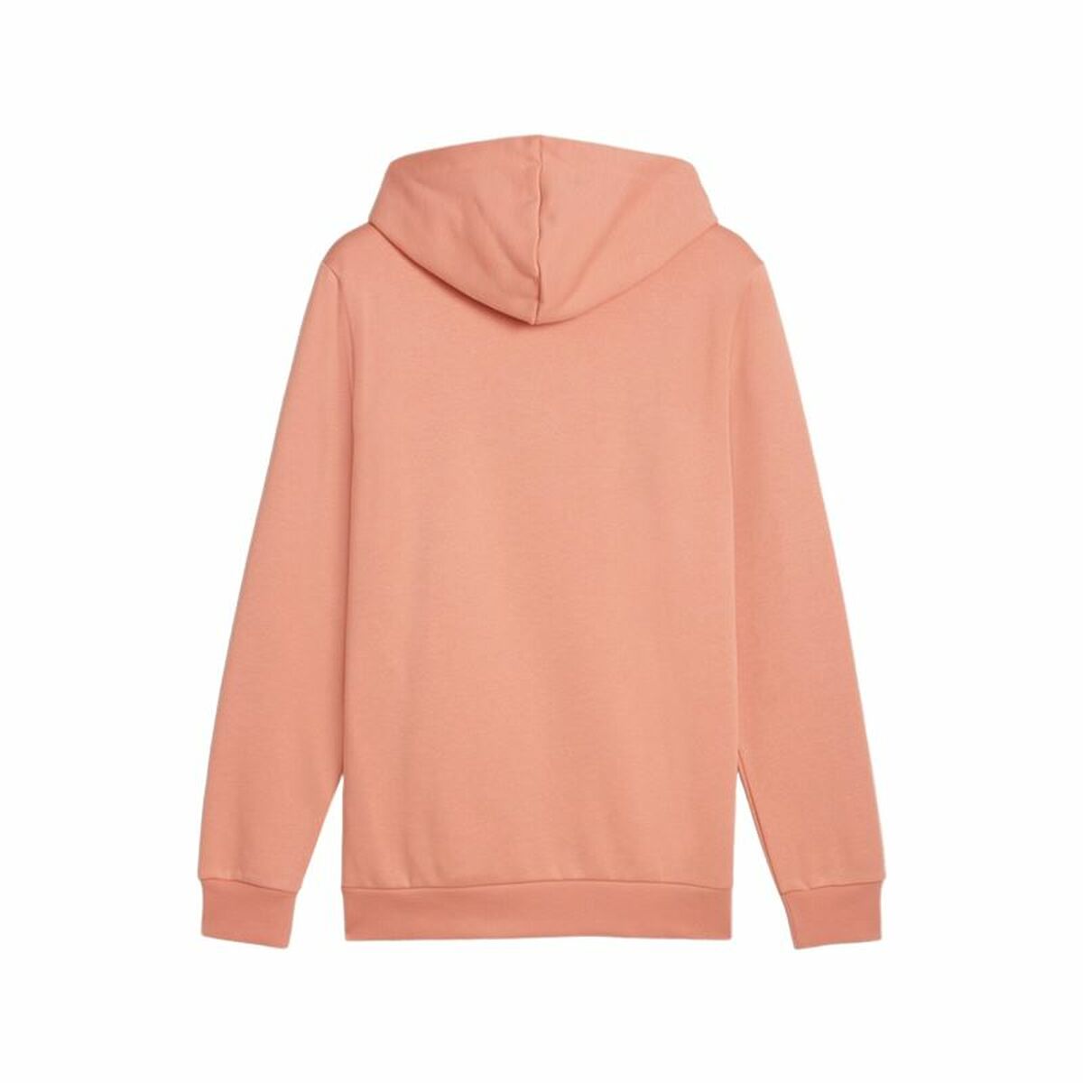 V4HE8B148DD74837C037667C2CBB4E501A7R5460206P2