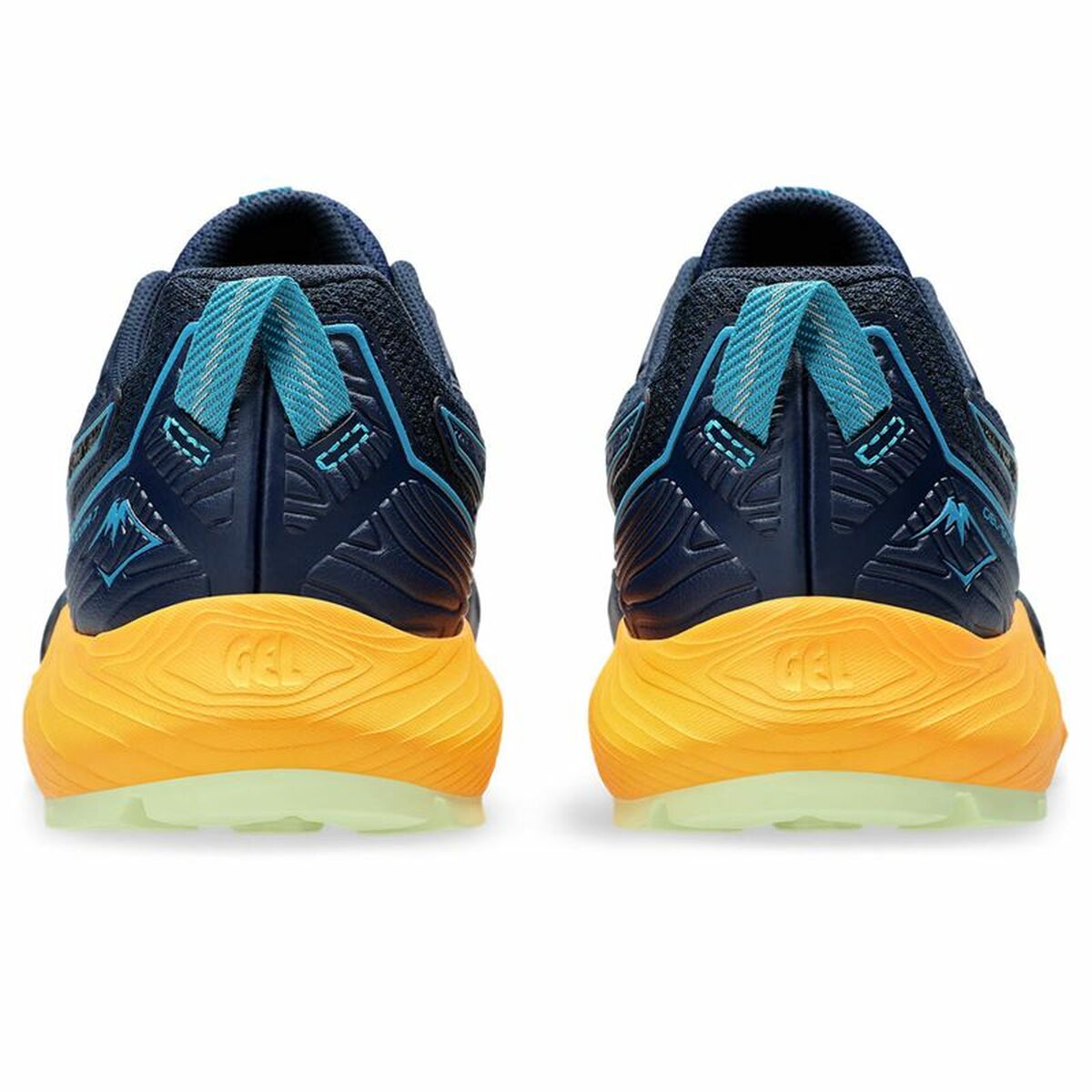 V5H088C1508C1657801E2806CFDD9246966R6535969P6