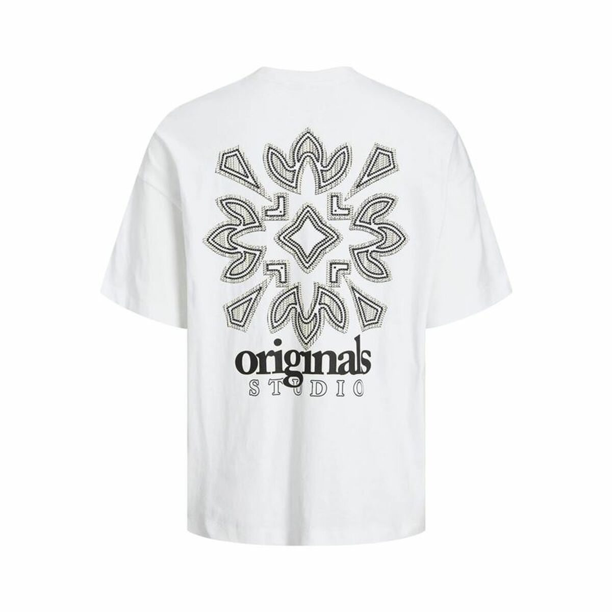 V6HE0B7EE31395F91DB16C8C9AA185708E2R4479625P2