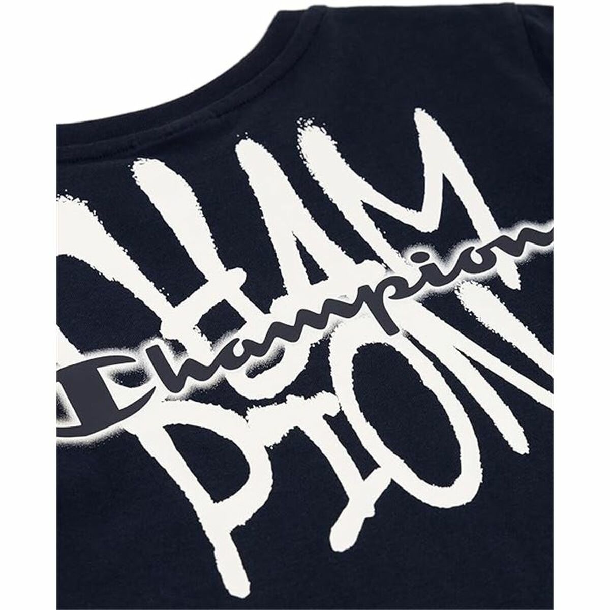 V3H673E7439ED7662DBCD00F60762FD4626R6019281P3