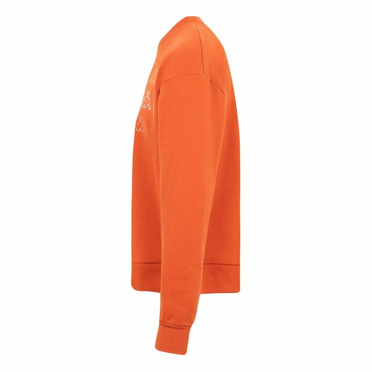 V4H2042860CEFF59F68C90E32E6C9B8F483R5438331P8