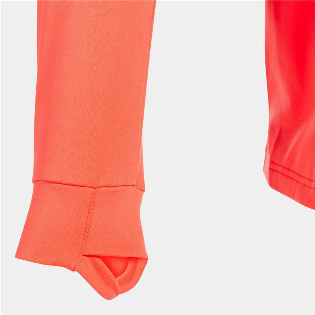 V4HF843519BCC1731D59259FCCF3637F0F1R5463814P6