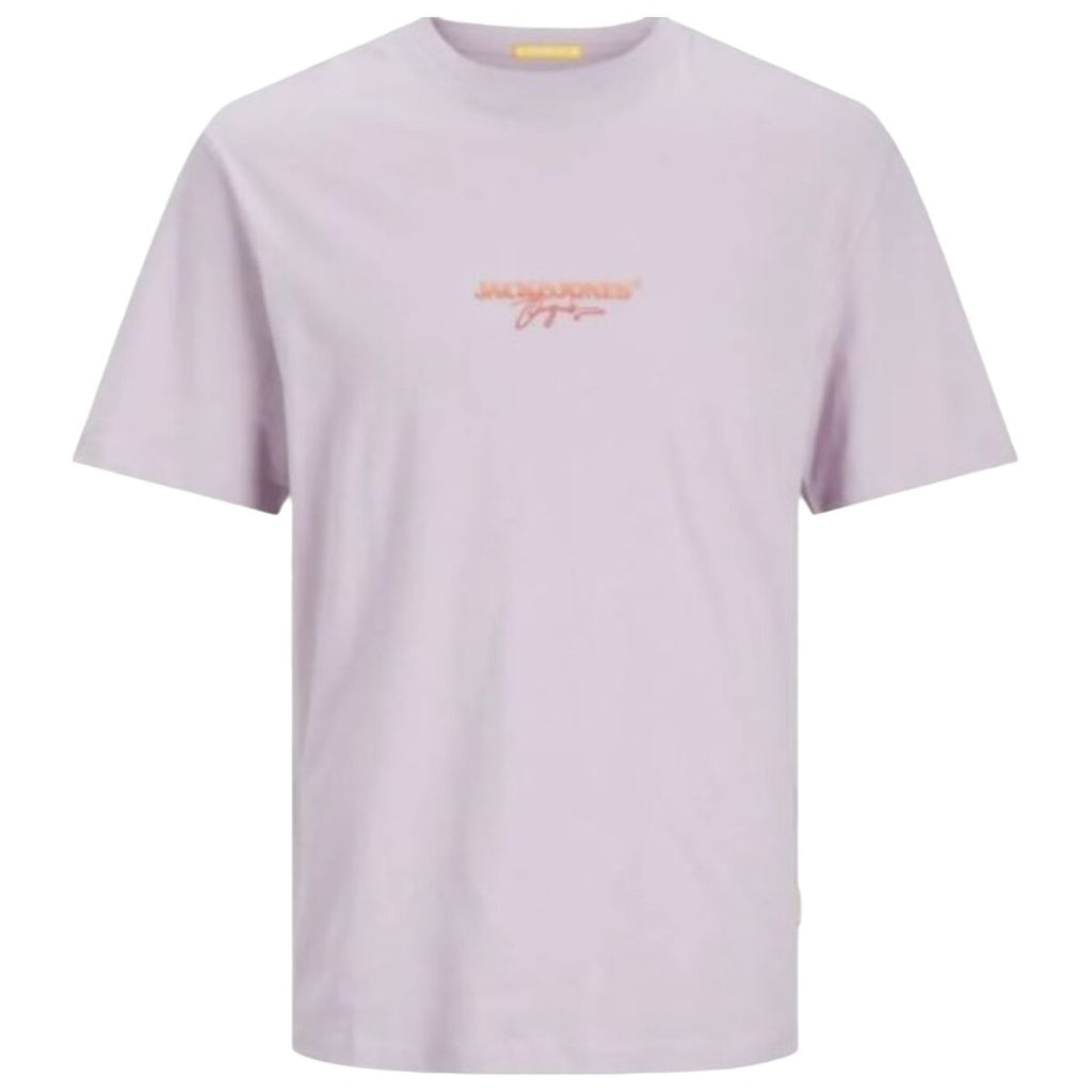 V2H699283F7F61E5F965DBE08499F0DB02BR7070673P1